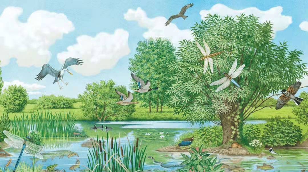 423读书节诚意推荐,423书香节