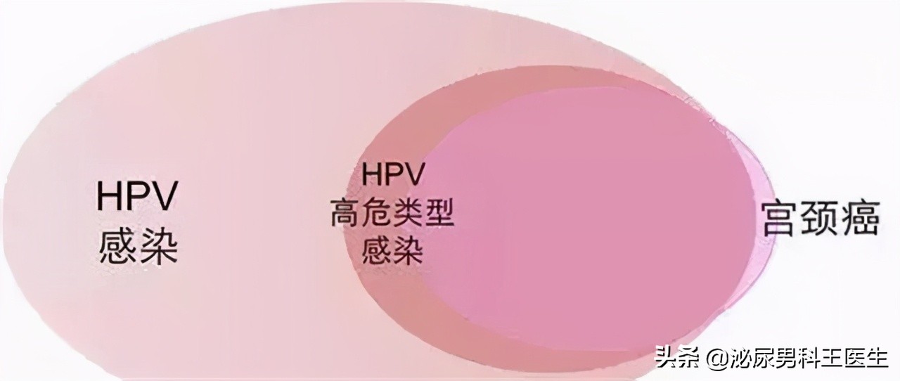 hpv疫苗对男性的身体有威胁吗,HPV疫苗对人体的副作用