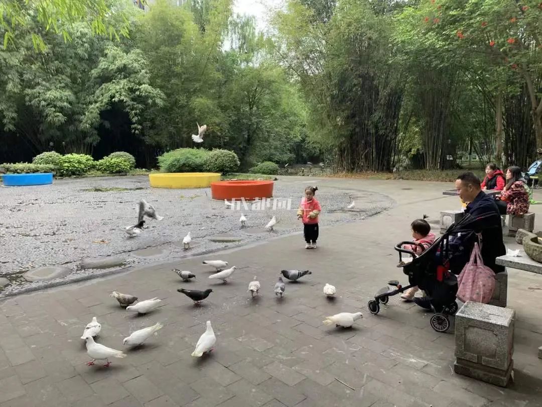 成都公园运营模式,成都公园维护成本