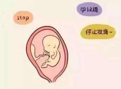 专题科普：怀孕那些事（二）