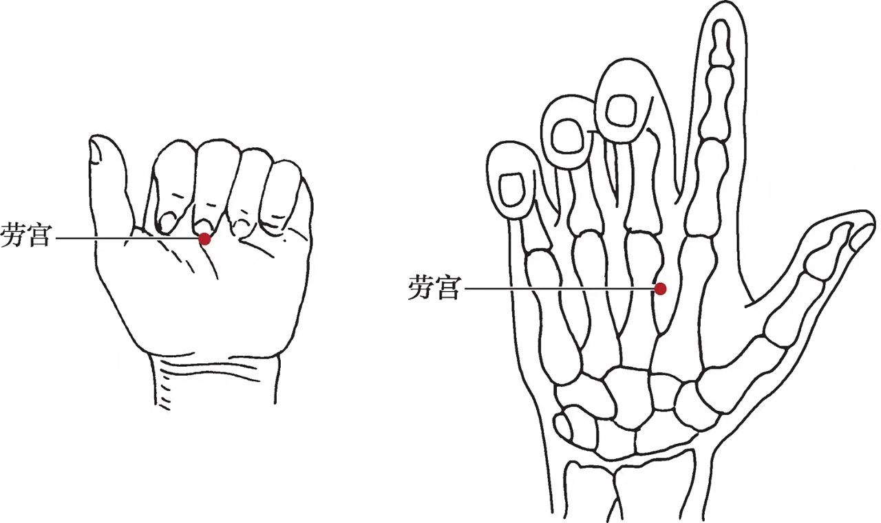 国医大师吕景山对穴,吕景山国医大师主治什么