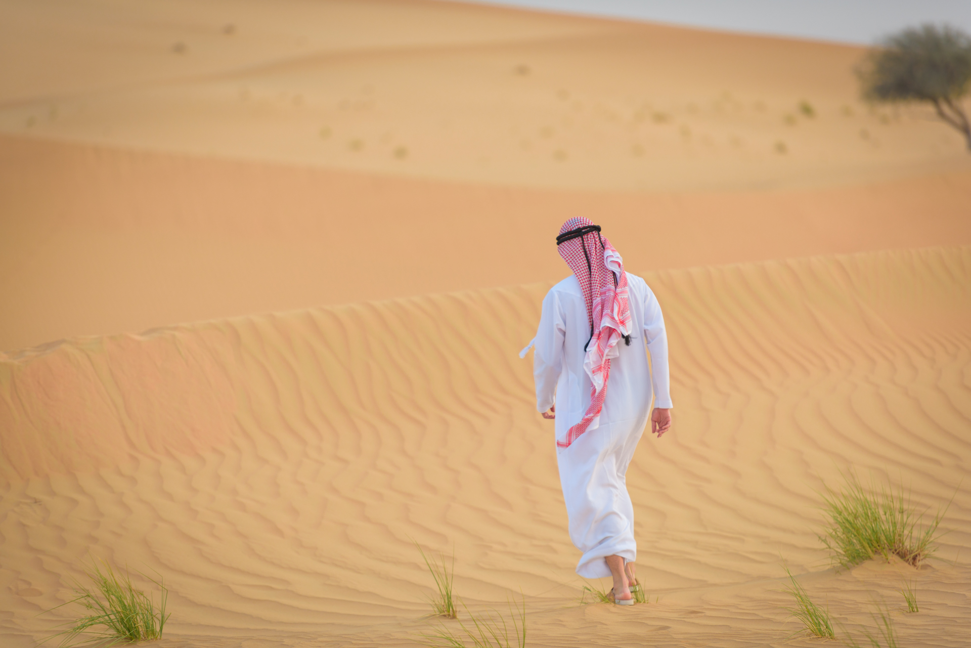 阿拉伯半岛中的也门为啥穷,也门为何是兵家必争之地