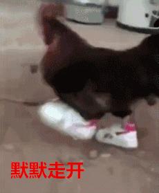 结婚前三天不可以回娘家吗,农村结婚惩罚规矩