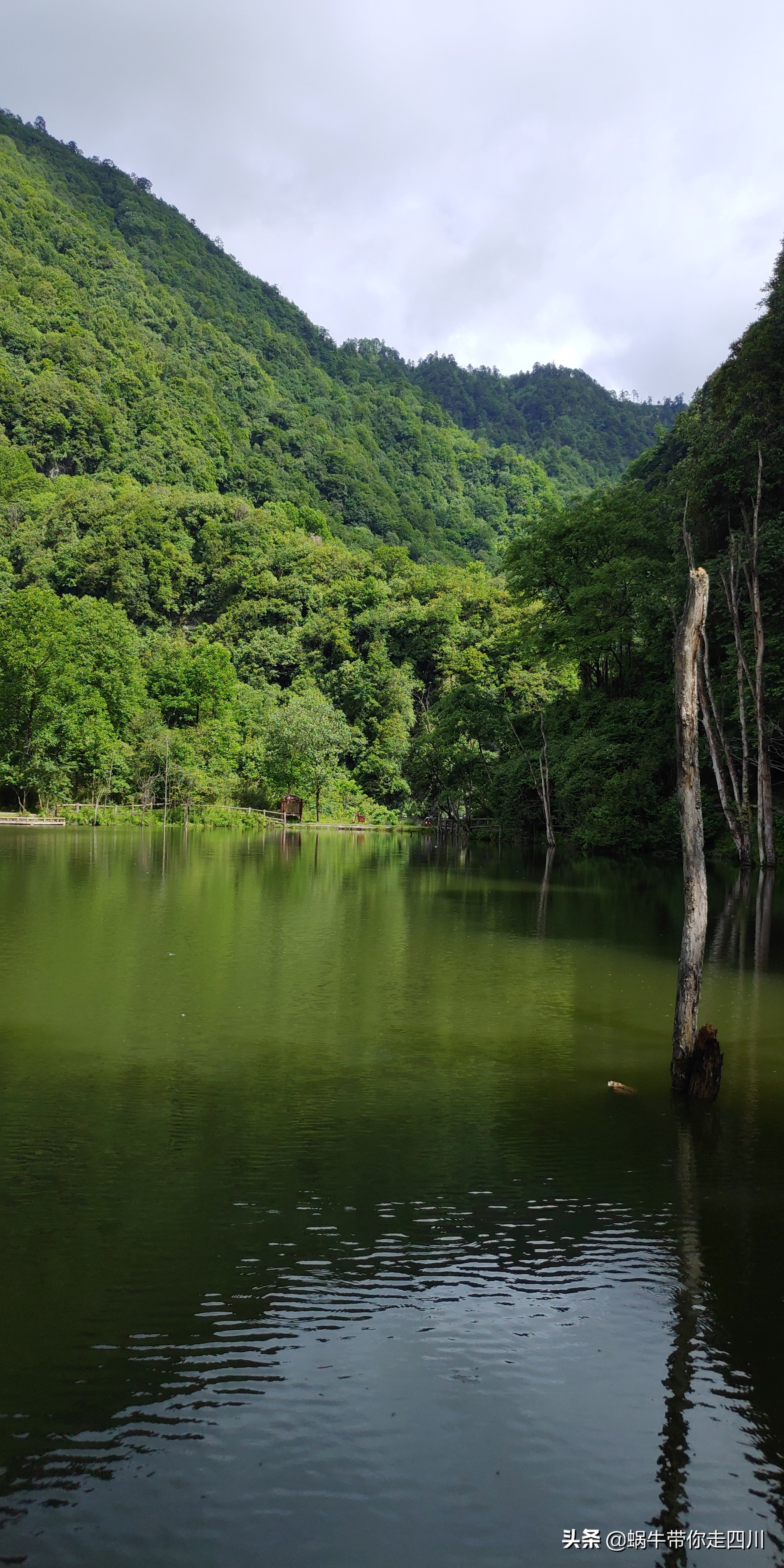 一家三口重庆到拉萨旅游攻略预算,一家三口成都去拉萨大概要多少钱