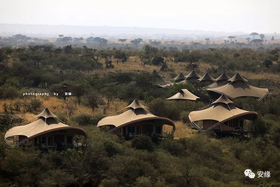 他，百亿富豪，常近乎全裸出现在公共视线里，却被英女王封为爵士