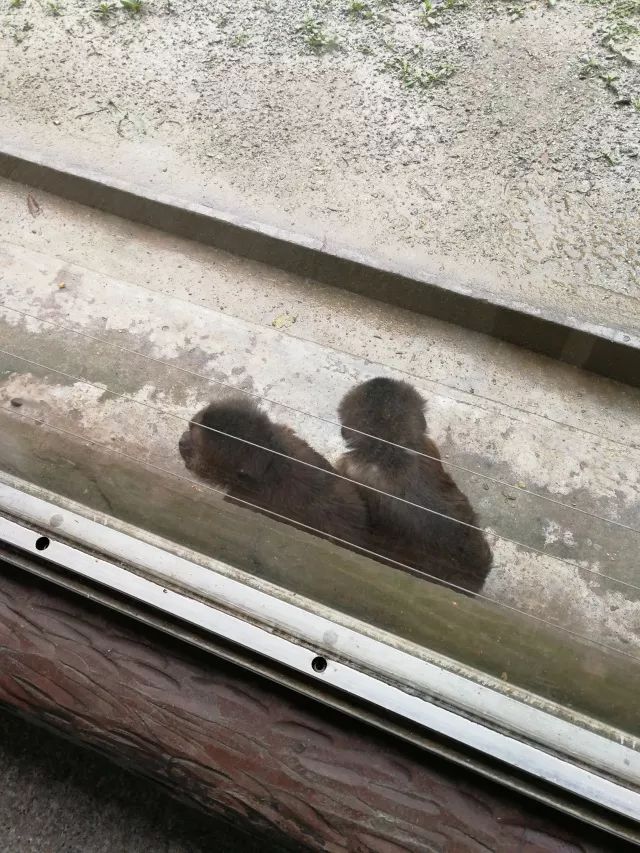 在上海迪士尼怎么玩比较快呢,在上海迪士尼玩一整天