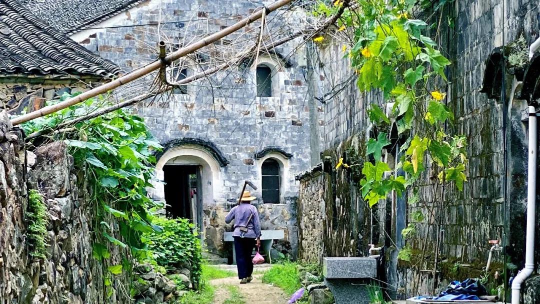 秋天的杭州自驾游,杭州秋冬自驾