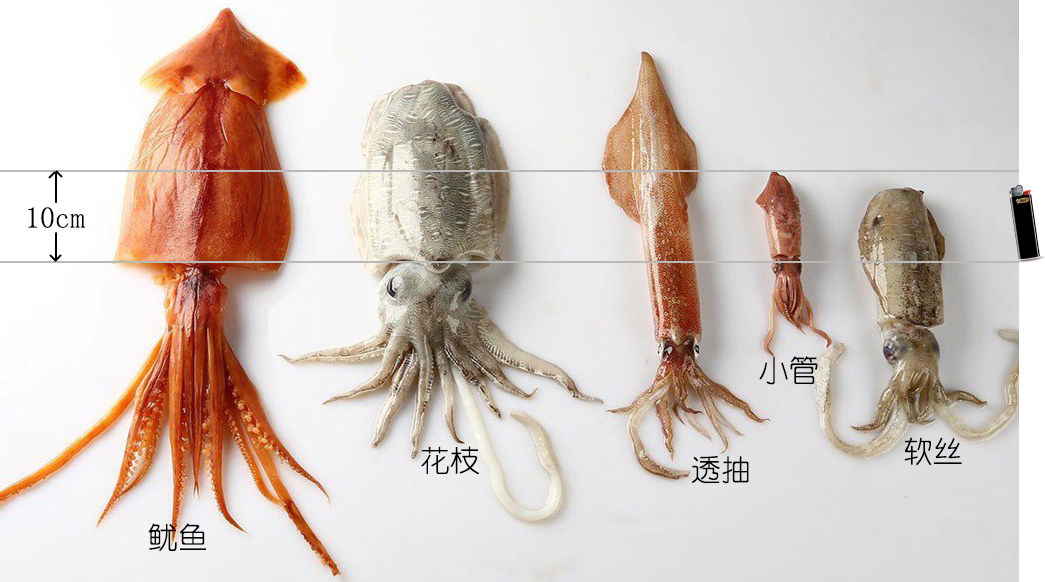 海鲜认知大全,海鲜认知大全虾