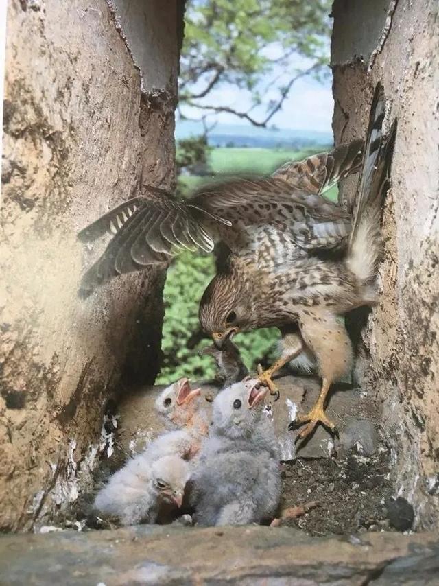 它说吉他前奏,她说钢琴伴奏和弦