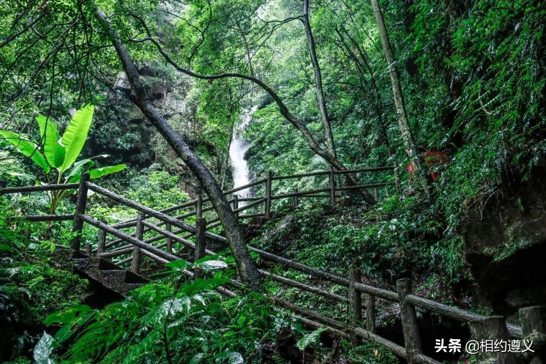 赤水大瀑布 侏罗纪公园 (贵州赤水侏罗纪公园攻略)