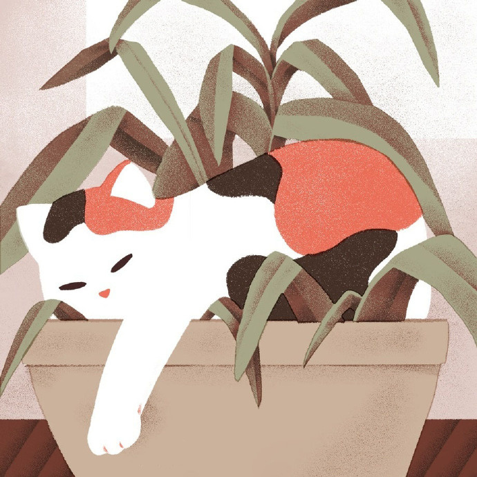 猫咪发情怎么办，教你如何处理猫咪发情