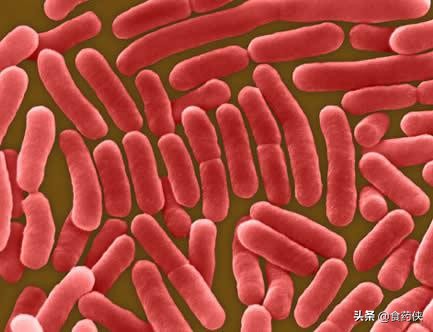 蜂胶在中国的历史记载,蜂胶研究的书籍推荐