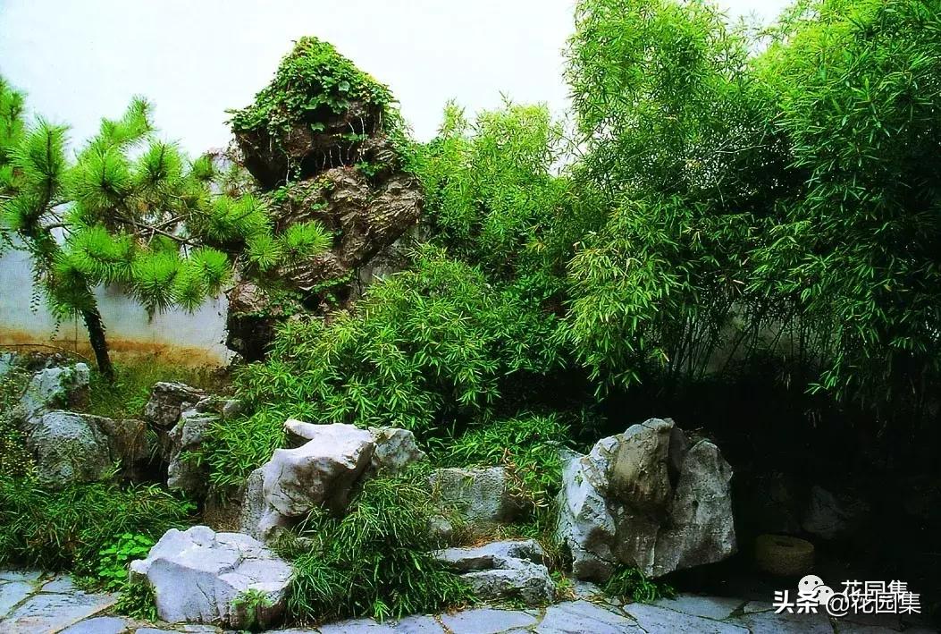 精品园林造景石有哪些特点,太湖石室内景观设计