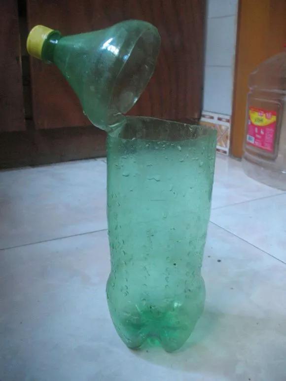 剪下枝条给根插水就能活的绿植,什么花枝条插水就能活