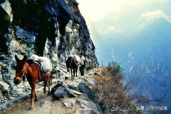 河南洛宁卫明新——云南旅游组诗二十首