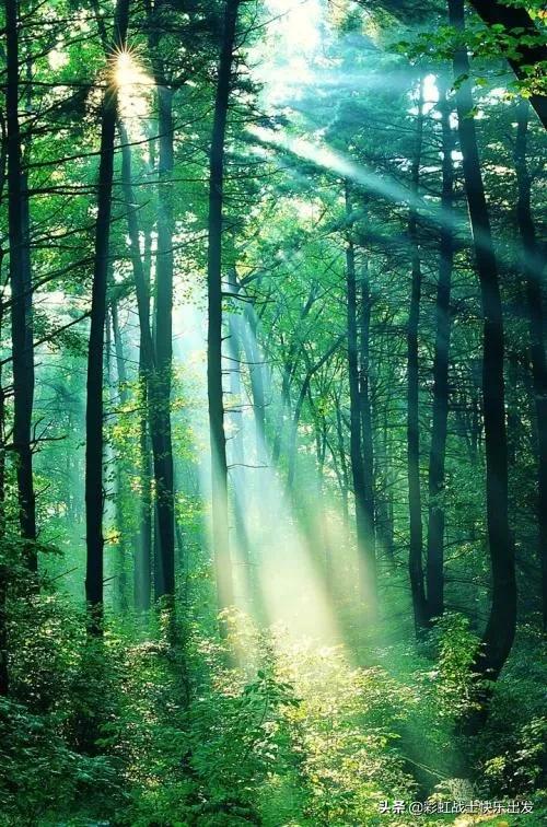 蓝牙连接网络出现意外错误,蓝牙存在的干扰问题解决