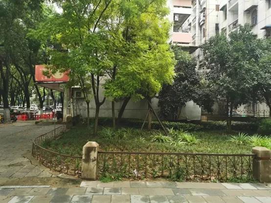 那些住在楼房的人们一定很幸福,住小区的人应该很幸福吧