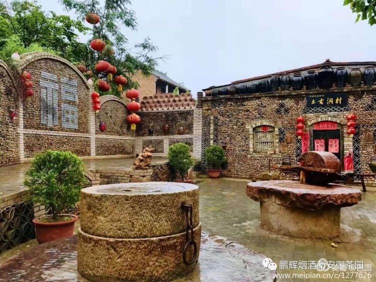 洛阳晚报作品,洛阳晚报2020年