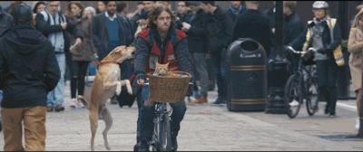 拯救不开心之类电影推荐,十部让人内心平静的电影