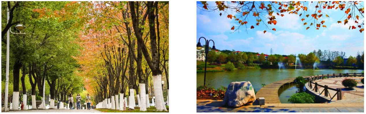 南京工业大学校招好吗,南京工业大学今年自招多少人