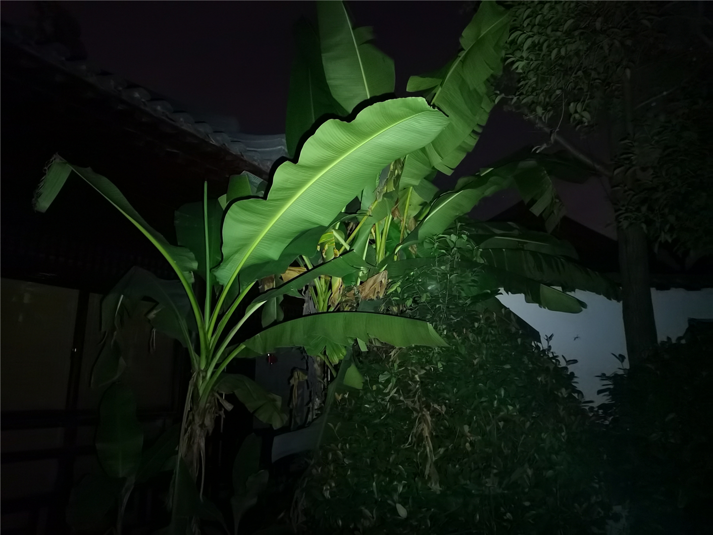 fenixe01,fenixe01v2.0手电