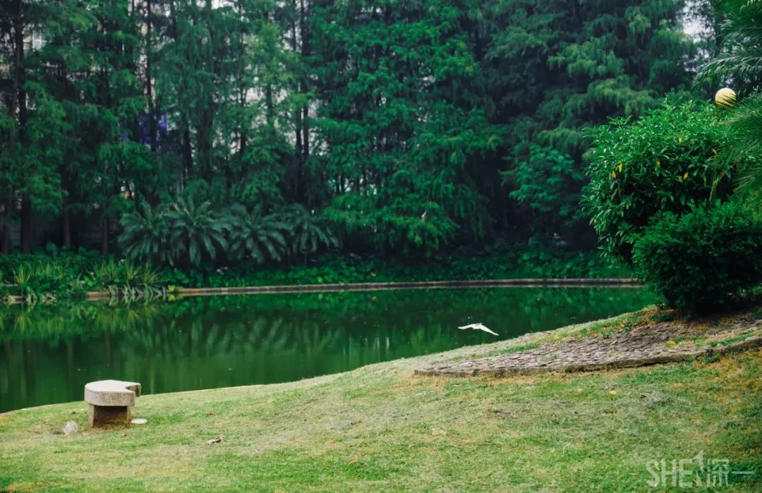 现在的蛇口,南头蛇口