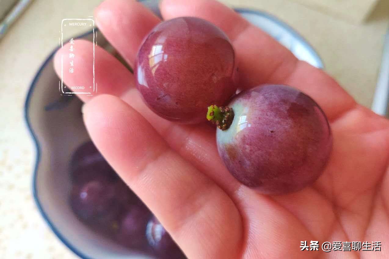 葡萄怎样洗得干净又好吃,立秋后葡萄怎么用磷酸二氢钾