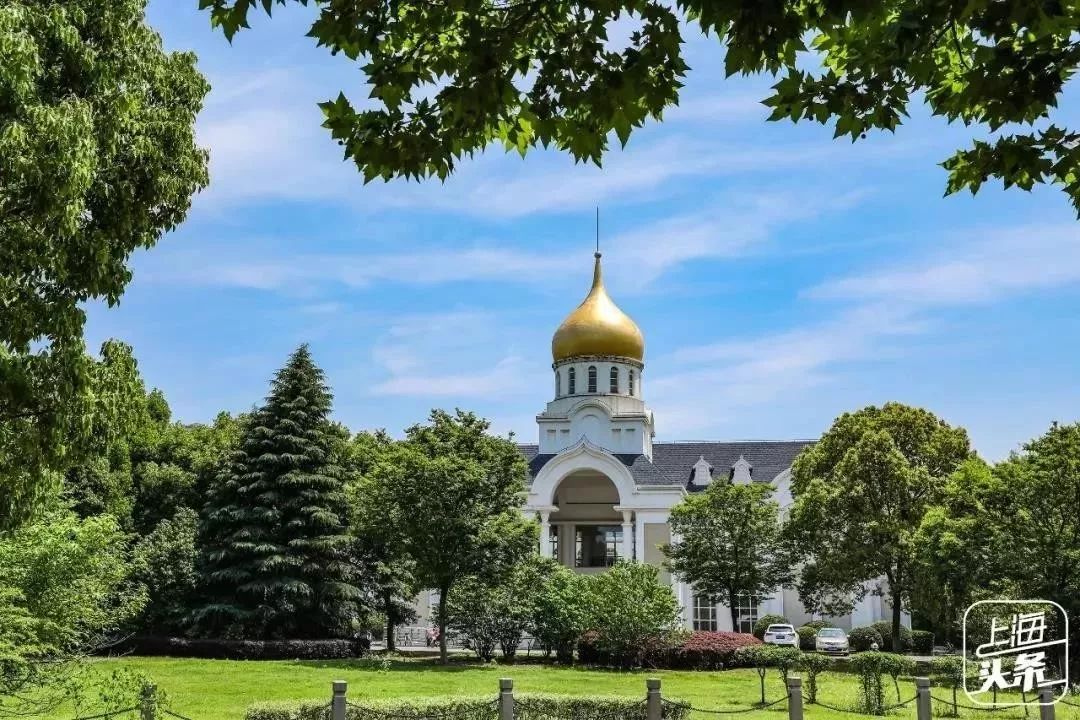 生日当天上海免费景点,上海网红打卡地点景点免费