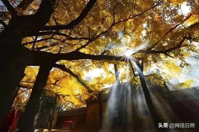 日照金山,日照旅游攻略