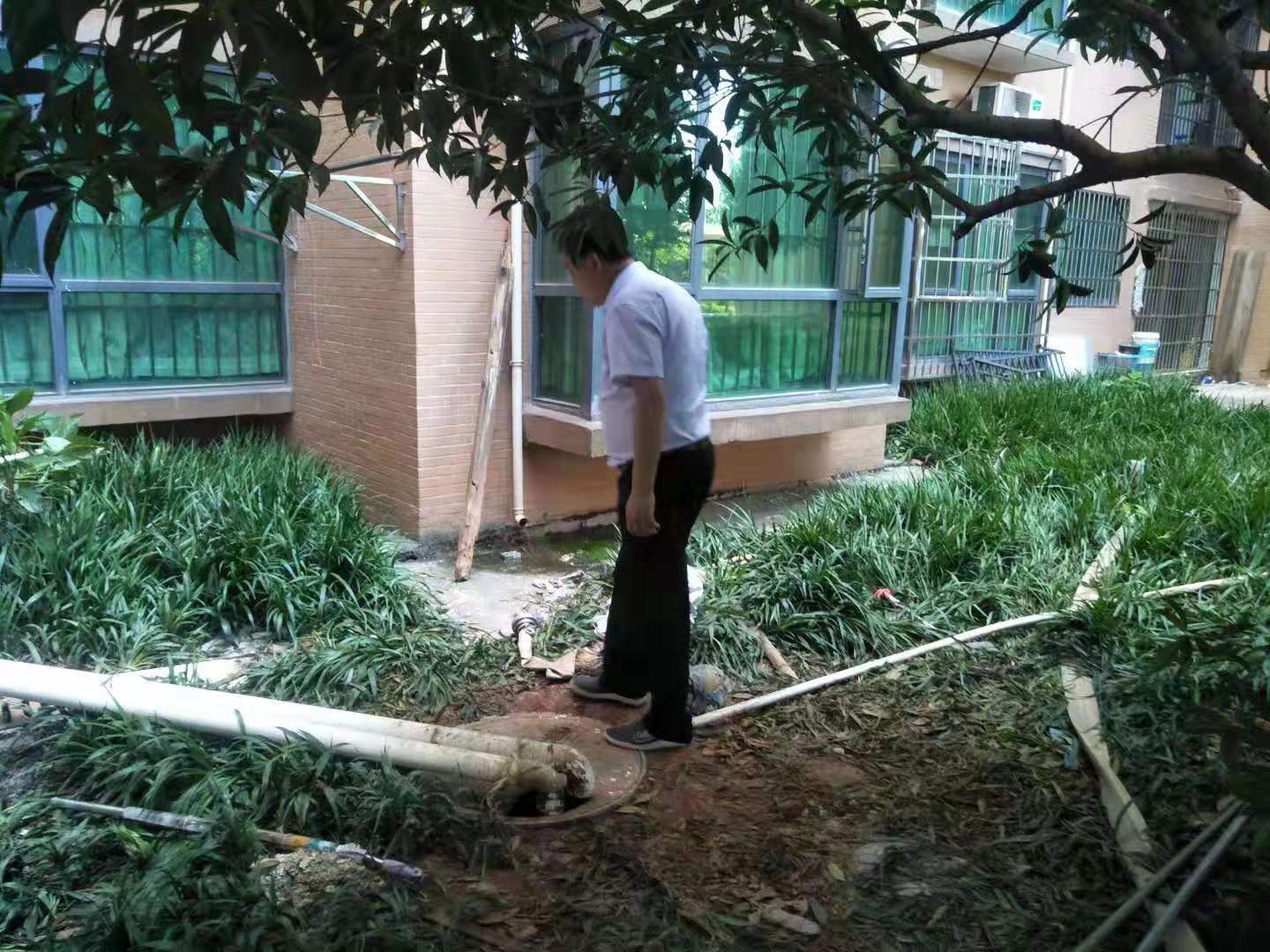 “泰弘进一品、处处显美景