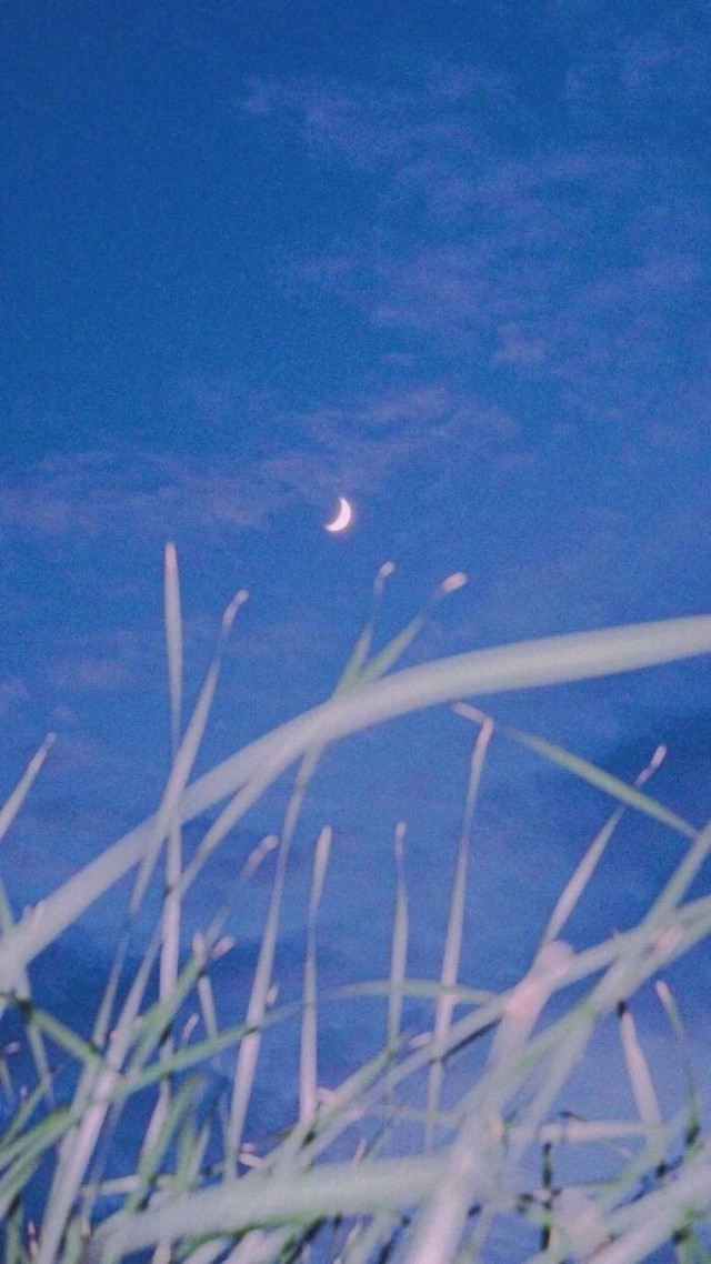 满天星辰是你，不尽思念也是你