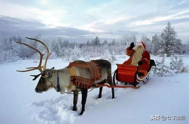 各国圣诞节美食攻略,各国圣诞节吃什么食物