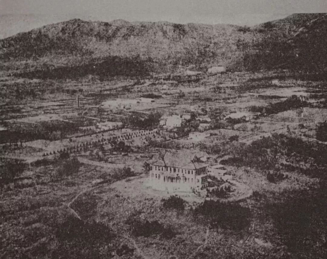 1937年南京保卫战紫金山碉堡,紫金山战役伤亡多少人