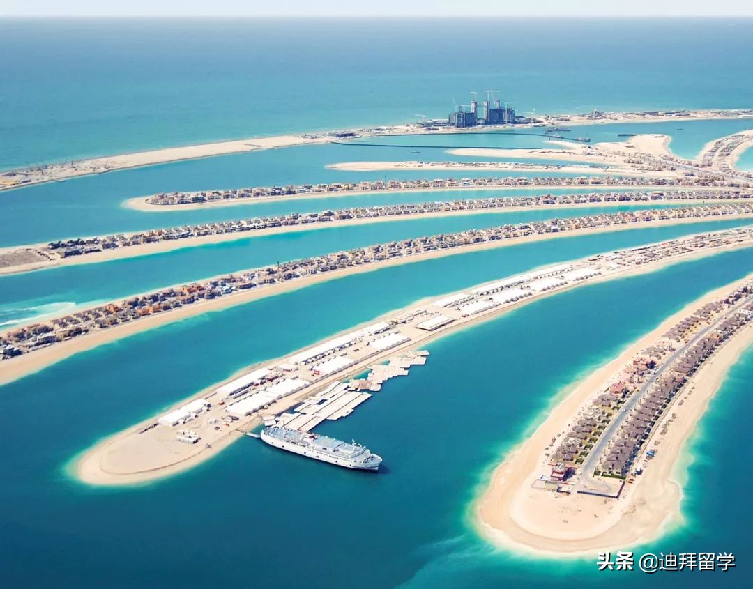 去迪拜上学需要什么条件,中国人去迪拜读小学需要什么条件