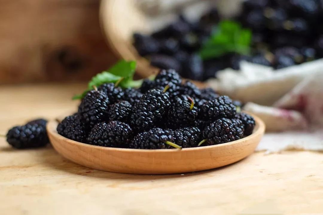 桑树全身都是宝本草纲目记载,桑树一身都是宝被称为东方神木