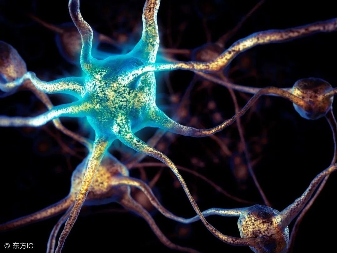 小儿脑瘫多大能查出来,小儿脑瘫怎么看