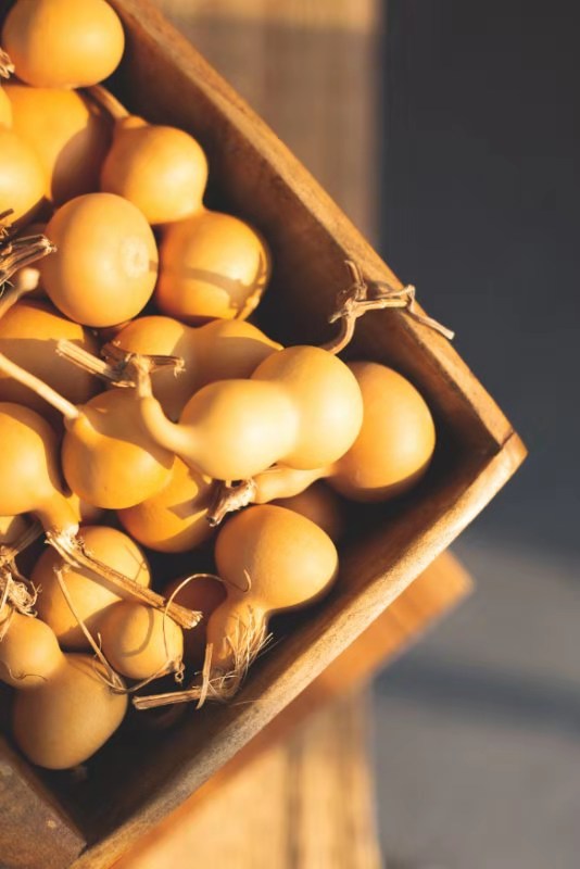 樱桃沟文化旅游节,樱桃沟樱桃文化节