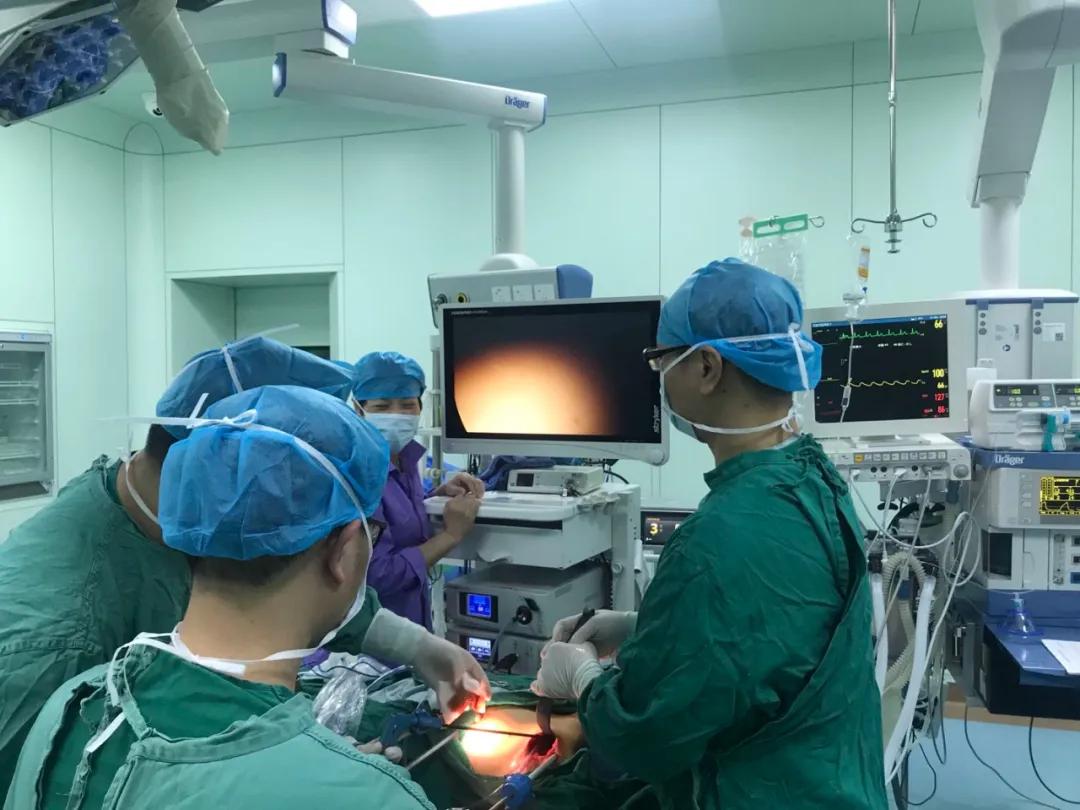 鏅绉戠簿鐩婃敼鍠勯」鐩湁鍝簺,婕冲窞鐢茬姸鑵虹枬澶栫