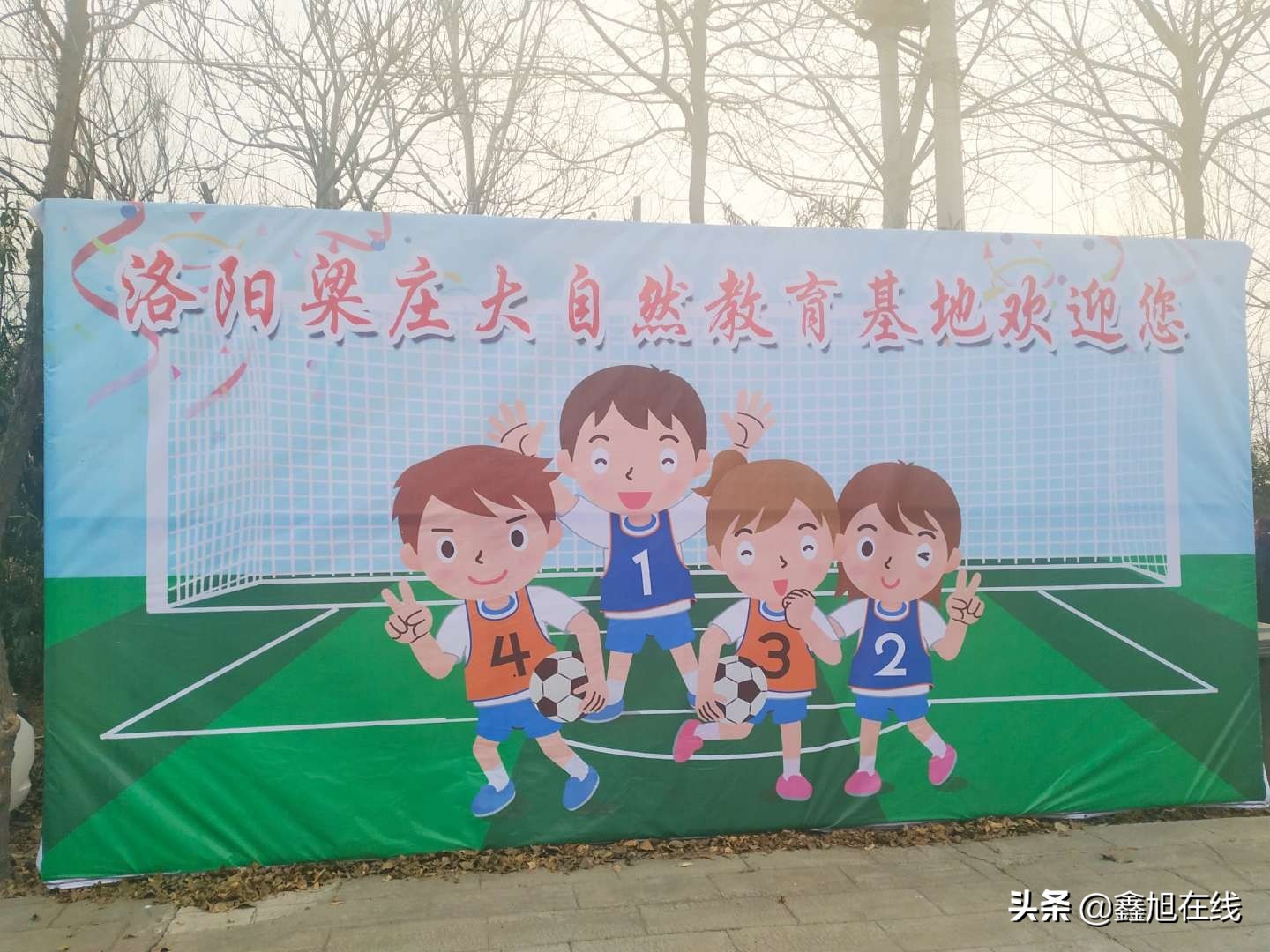 洛阳市足球赛事,洛阳市第二届少儿篮球比赛