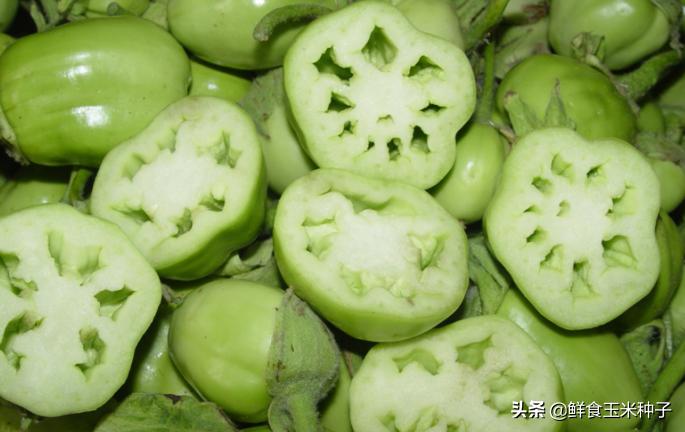 夏季蔬菜栽培高温的预防措施,各种茄果类蔬菜适宜的生长温度