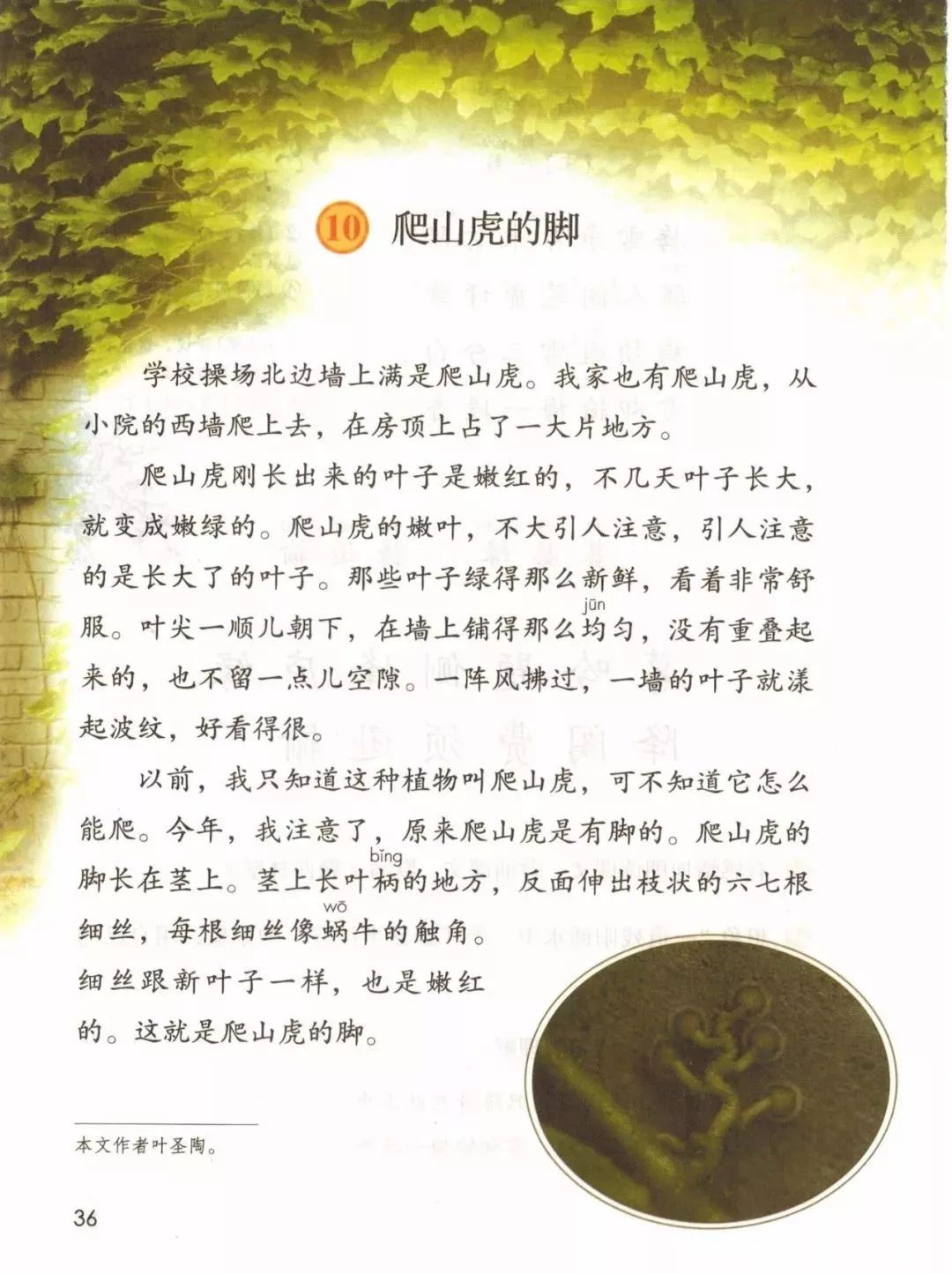 2019秋统编版四年级语文上册电子课本1-4单元(送审版)