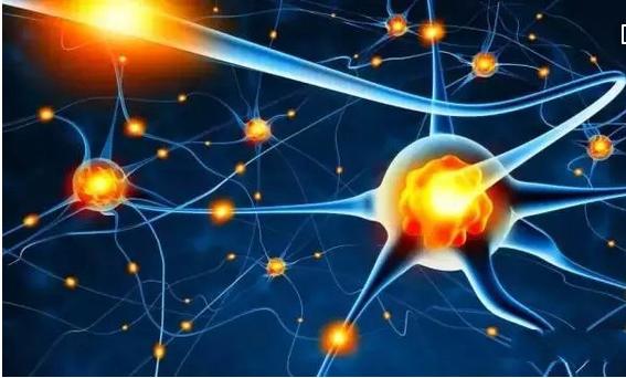 益生元的作用与功效,益生元的作用与功效中老年可吃