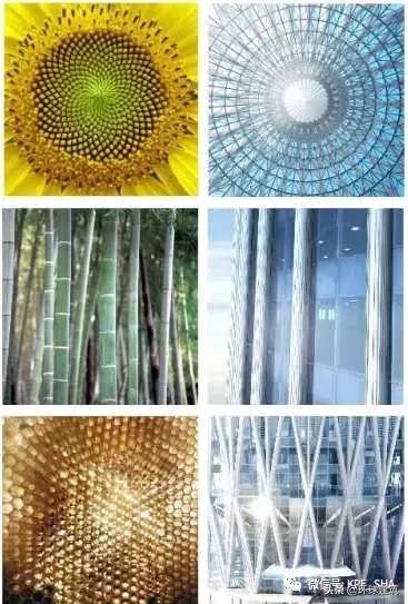 深圳华润春笋大厦原设计,深圳最美地标华润大厦