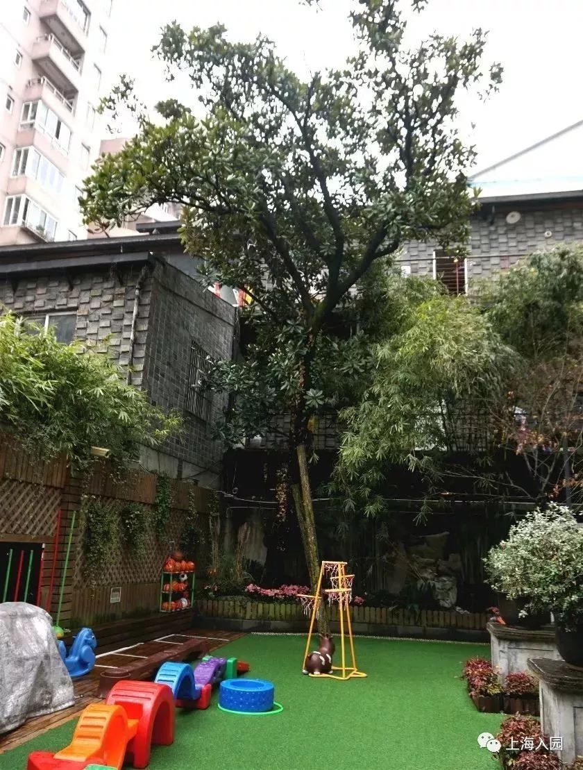 探园高端幼儿园,探园本地幼儿园