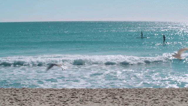 惠州虹海湾旅游攻略,惠州海边虹海湾