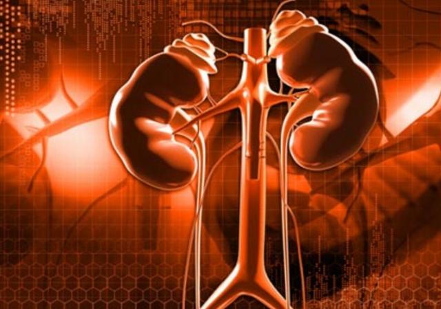 老年人肾功能下降饮食注意什么,慢性肾功能衰竭注意事项