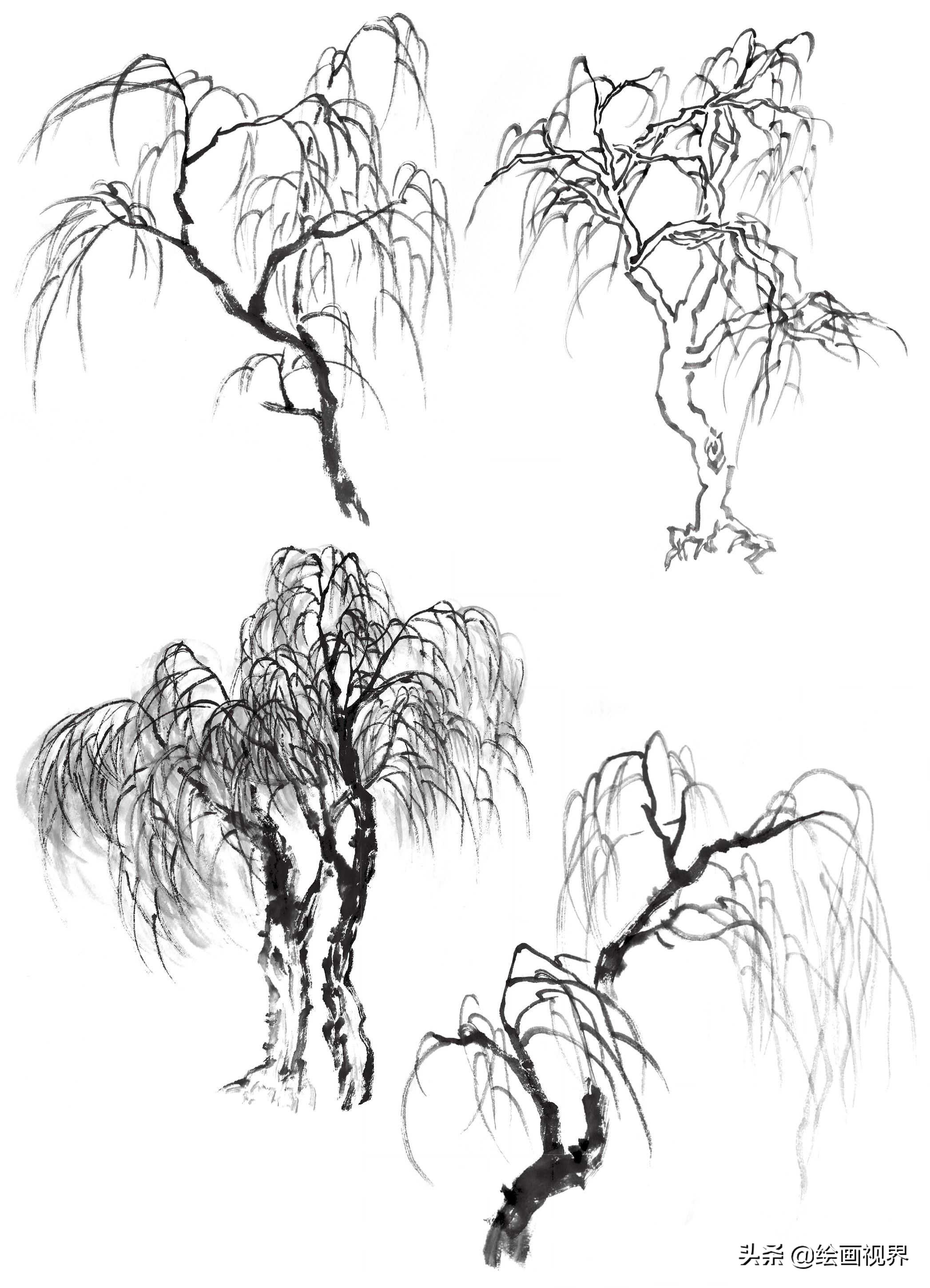 国画双钩树的画法入门,国画杂树与山石的画法图片