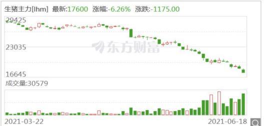 回报家乡：“首富儿媳”11亿陕西养猪