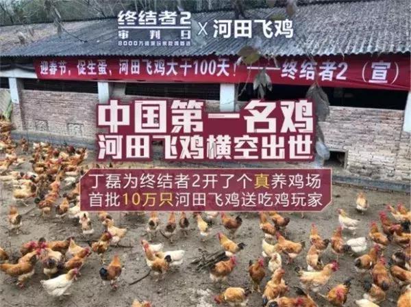 网易丁磊养猪视频现在怎么样了,网易丁磊最新布局