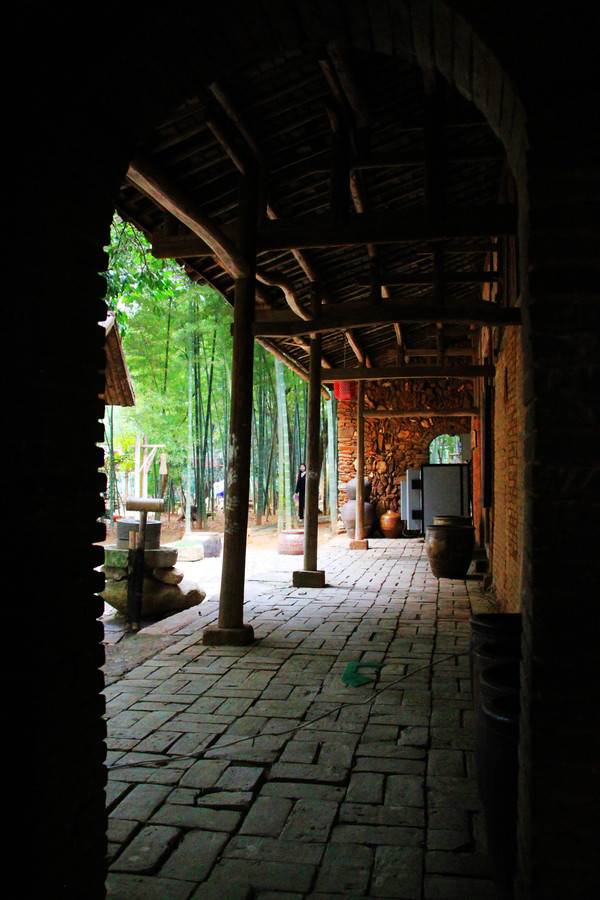 鄱湖之秋,鄱湖之滨信江之畔余干